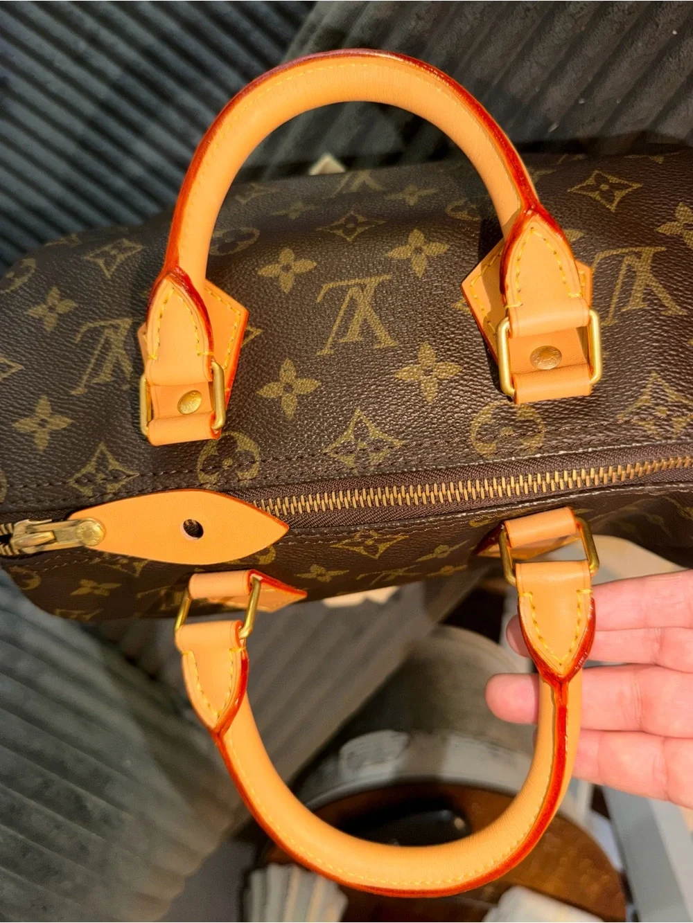 Louis Vuitton Speedy 25 bag
